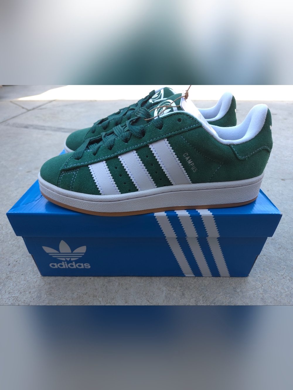 NEW Adidas Campus 00s Collegiate Green Men’s Size